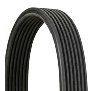 Multi-ribbed V-belt 7DPK2880 CONTINENTAL CTAM for PORSCHE CAYENNE PANAMERA
