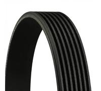 Multi-ribbed V-belt 7PK1066 EXTRA CONTINENTAL CTAM for HYUNDAI KIA