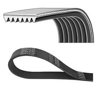 DAYCO 7PK1179EE Serpentine belt