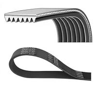 Multi-ribbed V-belt 7PK1203K DAYCO for RENAULT GRAND SCÉNIC IV SCÉNIC IV