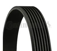 Multi-ribbed V-belt 7PK1290 CONTINENTAL CTAM for VW FORD MERCEDES-BENZ