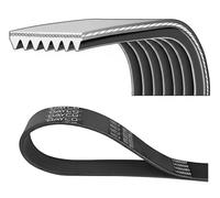 DAYCO 7PK1322HD Serpentine belt
