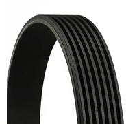 Multi-ribbed V-belt 7PK1538 CONTINENTAL CTAM for HONDA CIVIC VIII Hatchback