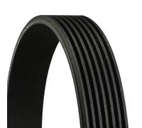 7PK1647 V-Ribbed Belt Fits BMW 5 Touring Gran Turismo 7 X5 X6 By Continental