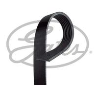 GATES 7PK1710XS Serpentine belt