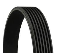 BGA Multi V-Ribbed Drive Belt fits Honda Renault