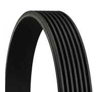 Fits CONTINENTAL CTAM 7PK1795 v-ribbe ⭐UK Stock⭐