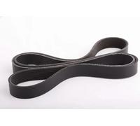 VRIBBED BELT 7PK1795 FOR NISSAN PRIMERA/Hatchback/Traveller PRIMASTAR/Van 2.2L