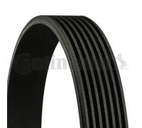 Contitech 7PK1910 V-Ribbed Belts