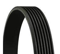 Multi-ribbed V-belt 7PK1920 CONTINENTAL CTAM for TOYOTA RENAULT NISSAN OPEL