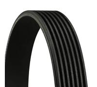 Contitech 7PK2061 V-ribbed belt, black
