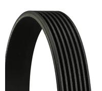 ContiTech V-Ribbed Belt 7PK2418 CTAM, Multi-ribbed – fits Mercedes-Benz & Mitsubishi