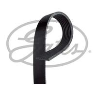 Multi-ribbed V-belt 7PK2660 GATES for FORD TRANSIT Bus TRANSIT Van