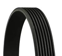 BGA Multi V-Ribbed Drive Belt fits Ford