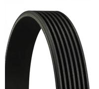 ContiTech V-Ribbed Belt 7PK2710 for Ford, Land Rover - New