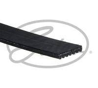 GATES 7PK3143 Serpentine belt