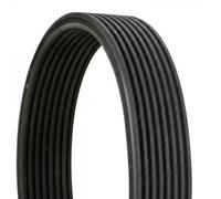 Multi-ribbed V-belt 8DPK1833 CONTINENTAL CTAM for BMW 7