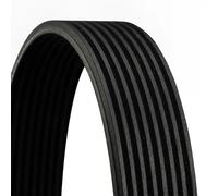 Multi-ribbed V-belt 8PK1015 CONTINENTAL CTAM