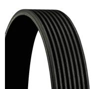 4x ✅Fits CONTITECH 8 PK 1122 EXTRA V-ribbed Belt 8 PK 1122 EXTRA Mul ⭐UK Seller⭐