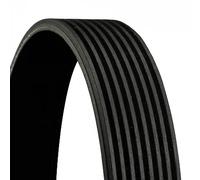 Multi-ribbed V-belt 8PK1165 CONTINENTAL CTAM for MAN LION´S CITY LION´S REGIO