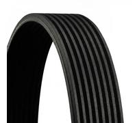 4x ✅Fits CONTITECH 8 PK 1247 V-ribbed Belt 8 PK 1247 Multi-V-belt (8 ⭐UK Seller⭐