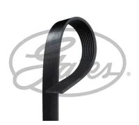 GATES 8PK1365HD V-Ribbed Belt 1365mm Length 8 Ribs Fits Mercedes-Benz Vario