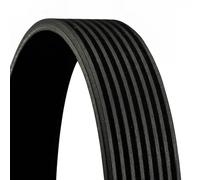 8PK1395 V-Ribbed Belt Fits BMW 3 2 Coupe 4 Coupe Convertible By Continental