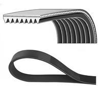 DAYCO 8PK1575HD Serpentine belt