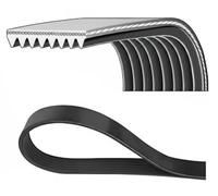 DAYCO 8PK1765HD Serpentine belt