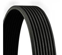 Multi-ribbed V-belt 8PK1795 CONTINENTAL CTAM for MERCEDES-BENZ SCANIA