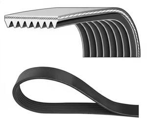 Multi-ribbed V-belt 8PK1895HD DAYCO for DAF XF CF
