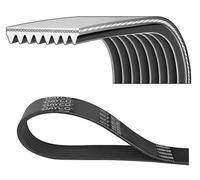 Multi-ribbed V-belt 8PK1945HD DAYCO