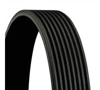 ContiTech V-Ribbed Belt - 8PK2337 , 8 Ribs - Fan Belt Alternator, Drive Belt