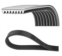 Multi-ribbed V-belt 8PK2355HD DAYCO