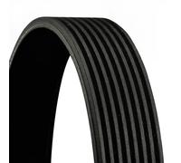 Multi-ribbed V-belt 8PK955 CONTINENTAL CTAM for VOLVO FM12 NH12