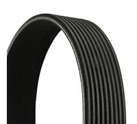 Multi-ribbed V-belt 9PK1700 CONTINENTAL CTAM