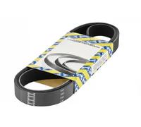 SNR CA3SPK628 Serpentine belt