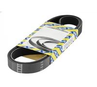 SNR CA5PK1585 Serpentine belt