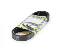 SNR CA5SPK1230 Serpentine belt
