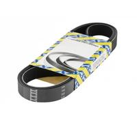 SNR CA5SPK1236 Serpentine belt