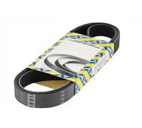 Multi-ribbed V-belt CA6PK1502XS SNR for FORD FOCUS III FOCUS III Turnier B-MAX
