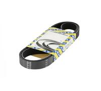 Multi-ribbed V-belt CA6PK1663 SNR for BMW HYUNDAI KIA