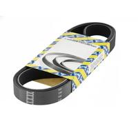 SNR CA6SPK1024 Serpentine belt