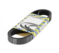 SNR CA6SPK1140 Serpentine belt