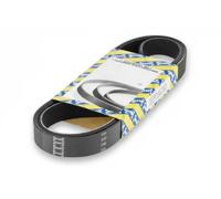 Multi-ribbed V-belt CA6SPK1249 SNR for VOLVO FORD
