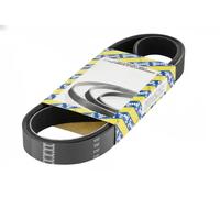 VRIBBED BELT CA6SPK799 FOR SKODA SUPERB/III OCTAVIA/Combi YETI KODIAQ RAPID 2.0L