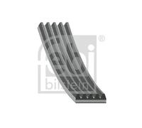 FEBI BILSTEIN 181294 Serpentine belt