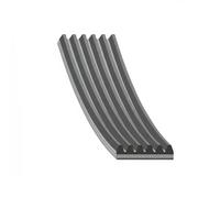 FEBI BILSTEIN 181311 Serpentine belt
