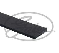 GATES K080702 Serpentine belt