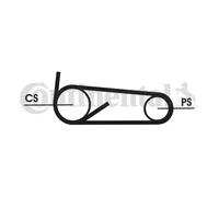 CONTITECH 4PK922 ELAST T1 V-Ribbed Belt Set